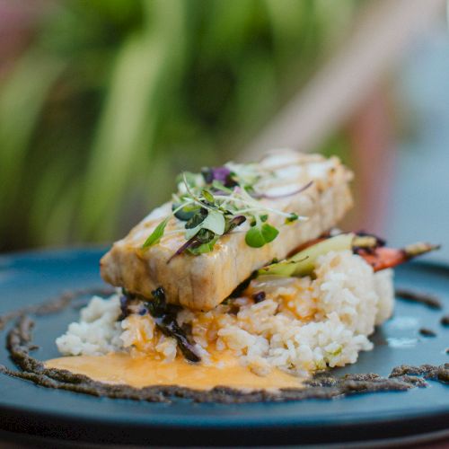 A gourmet dish featuring rice, fish, sauce, and garnished with microgreens, elegantly presented on a dark plate.